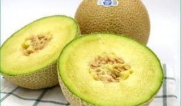 宝宝退烧可以吃哈密瓜吗,哈密瓜是适宜的水果选择吗？