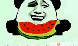 吃瓜大梗,揭秘娱乐圈那些鲜为人知的幕后大梗