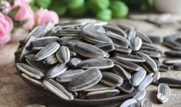 梦见吃波兰瓜,波兰瓜的神秘启示