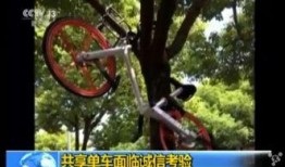 吃瓜群众修自行车,展现生活智慧与技能