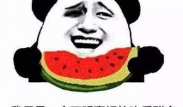 吃瓜群众变成卖瓜的了,我的瓜田传奇