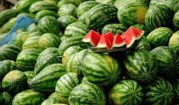 土桥中学吃瓜,揭秘校园里的“瓜田”风云