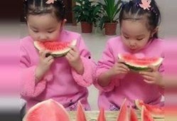 双胞胎 吃瓜,揭秘双胞胎世界的甜蜜与趣味