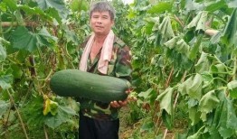 吃的最劲爆的瓜,那些你不知道的内幕故事