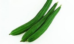 邢台任泽吃瓜,一场别开生面的“吃瓜”盛宴