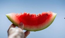 吃瓜芯宝,网络红人的崛起之路