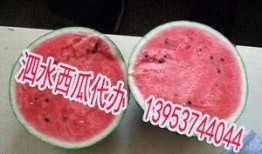 泗水吃瓜,探寻地方特色美食之旅