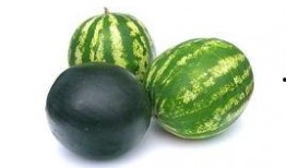 临安吃瓜事件视频,一场网络狂欢背后的真相揭秘