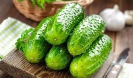 瓜叶子咋吃,瓜叶子的多样食用方法探索