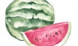 吃瓜伊乔,网络红人的崛起与影响力