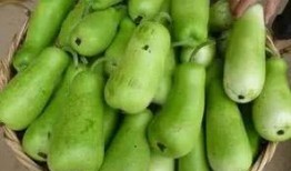 小宝宝吃葫芦瓜,宝宝辅食新选择