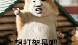 深夜吃瓜打架,一场吃瓜引发的打架事件