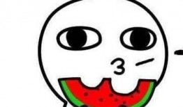 在家里吃瓜吵架,一场关于瓜果的温馨争吵