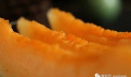 日照有瓜吃吗,瓜果飘香，丰收季节的美食盛宴