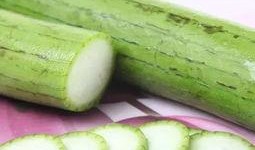 吃大瓜虫,探寻独特风味背后的传奇故事