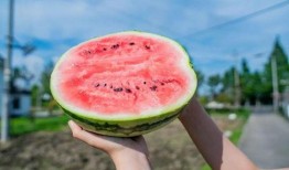 用卡吃瓜,揭秘信用卡消费背后的秘密与技巧