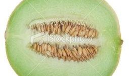 新疆吃哪的瓜,探寻新疆特色瓜果之旅