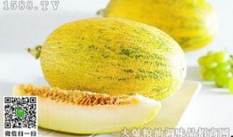 哺乳可以吃蜜瓜吗,营养与安全的探讨