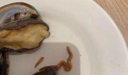 吃瓜吃到虫恶心,揭秘瓜果安全卫生问题