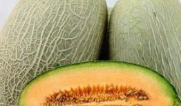 哈密瓜几点吃,把握黄金时刻，尽享美味与营养