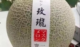 吃纹珑蜜瓜,夏日里的甜蜜诱惑
