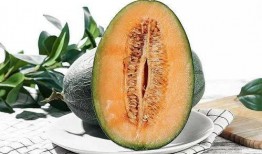 吃哈密瓜的时节,哈密瓜的甜蜜盛宴