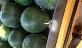 吃瓜沫沫,揭秘娱乐圈幕后故事