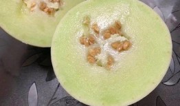 冰淇淋甜玉瓜怎么吃,夏日清凉新食尚，美味与营养兼得