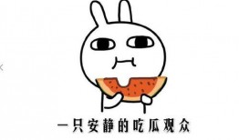 吃瓜吃瓜吃瓜是啥意思,揭秘“吃瓜吃瓜吃瓜”的网络流行语内涵