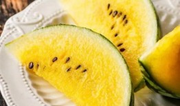 吃瓜的扬子,吃瓜群众视角下的扬子风云