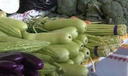 吃瓜带密码,揭秘网络热词背后的文化密码