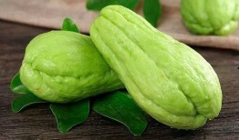 咋吃佛手瓜,探索健康美味的烹饪新境界