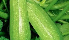 311吃瓜,网络舆论的狂欢与反思