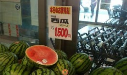 中国血统吃瓜,探寻中国血统的独特魅力