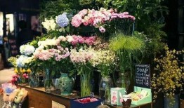 吃瓜qq花店,揭秘网络花店的独特魅力