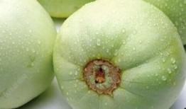 吃瓜吃甜瓜,揭秘吃瓜吃甜瓜的乐趣与奥秘