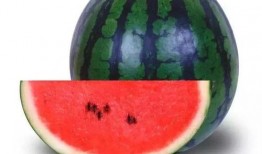 吃瓜51是什么,网络热词背后的文化现象