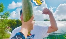 吃瓜饱了的图片,揭秘娱乐圈幕后真相