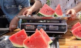 山东直播吃瓜,一场别开生面的网络盛宴