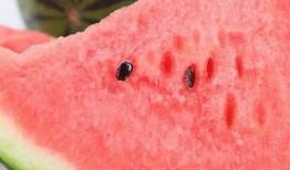 泗水吃瓜,探寻地方特色美食之旅