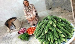 药瓜根子怎么吃,传统药材的现代食补之道
