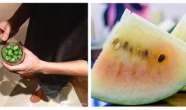 站在吃瓜顶端,站在吃瓜顶端，洞察明星幕后真相