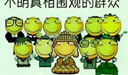 吃瓜群众干杯,揭秘娱乐圈的欢乐与泪点