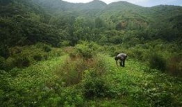 吃瓜去山顶,一场别开生面的山顶盛宴