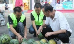 高贵吃瓜,揭秘娱乐圈的甜蜜与苦涩