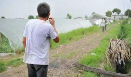 异乡吃瓜人,他乡异客的酸甜苦辣