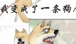 小哥吃瓜小说在线阅读,揭秘网络小说世界的精彩瞬间