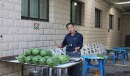 故城县吃瓜,瓜香四溢，品味夏日田园风情