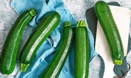 秋不食瓜可以吃吗