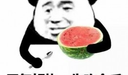 闰土谁吃瓜,一场别开生面的乡村盛宴